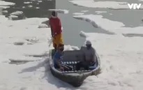 Bọt ô nhiễm nổi trắng sông ở thủ đô Ấn Độ