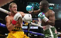 Trận Floyd Mayweather và Logan Paul kết thúc mà không có knock-out