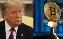 Bitcoin lao dốc sau khi bị ông Trump gọi là “trò lừa đảo”
