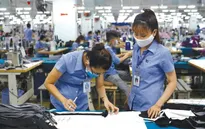 Dệt may làm không hết việc