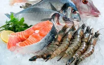 Làm thế nào để bảo quản hải sản tươi lâu trong tủ lạnh?