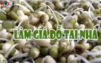 Cách làm giá đỗ tại nhà