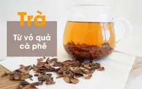 Bí quyết pha trà Cascara cực ngon từ vỏ của quả cà phê