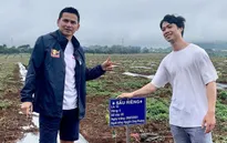Cầu thủ Hoàng Anh Gia Lai đi trồng sầu riêng