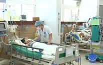 Gia tăng bệnh nhân bị rắn cắn vào mùa hè