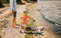 Cá chết hàng loạt vì hiện tượng tảo nở hoa ở bờ biển Florida