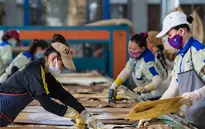 Doanh nghiệp châu Âu kiên trì đợi chuỗi cung ứng châu Á phục hồi