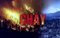Châu Âu ghi nhận hàng chục ngàn vụ cháy rừng thảm khốc