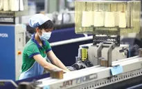 Doanh nghiệp FDI kiến nghị TP Hồ Chí Minh hỗ trợ vượt khó