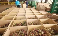 Nỗ lực đưa hàng Việt Nam sang Mỹ trong mùa dịch