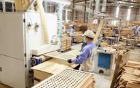 Xuất khẩu gỗ giảm mạnh