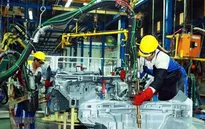 Bộ Tài chính đề xuất gia hạn thuế tiêu thụ đặc biệt ô tô sản xuất trong nước