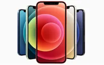 iPhone 12 giảm giá bao nhiêu khi iPhone 13 xuất hiện?