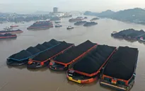 Indonesia có thể nối lại xuất khẩu than