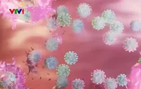 Cùng với vaccine, trí tuệ nhân tạo cũng góp phần kiểm soát tốc độ lây lan của dịch bệnh