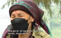Tết vẫn còn xa với lao động tự do