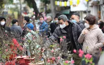Hà Nội tổ chức 91 điểm chợ hoa xuân phục vụ Tết Nguyên đán Quý Mão 2023