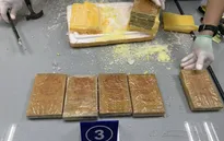 Triệt phá 4 đường dây ma túy quốc tế
