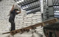 Giá lương thực toàn cầu cao nhất trong một 1 thập kỷ