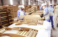 Thách thức từ thị trường xuất khẩu gỗ chủ lực