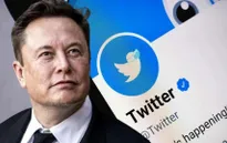 Twitter có thể dừng thu phí "tích xanh" vô thời hạn
