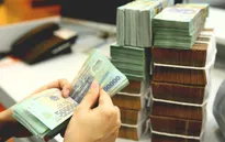 Triển khai thực hiện một số điều sửa đổi của Luật Quản lý thuế