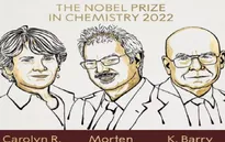 Nobel Hóa học 2022: Vinh danh ba nhà nghiên cứu Mỹ và Đan Mạch