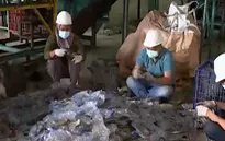 Indonesia tạo ra khoảng 7,8 triệu tấn rác thải nhựa mỗi năm
