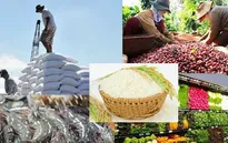 Các thị trường lớn chào đón nông sản Việt