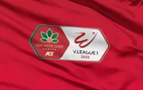Lịch thi đấu V.League hôm nay 08/10 | CLB Nam Định vs Topenland Bình Định, CLB Sài Gòn vs Đông Á Thanh Hóa