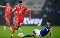Bayern Munich giành chiến thắng dễ dàng trước Schalke 04