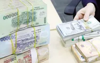 Ngân hàng Thế giới: Việt Nam có thể cân nhắc cho phép tỷ giá linh hoạt hơn nữa