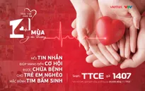 Trái tim cho em: 1 năm 4 mùa yêu thương