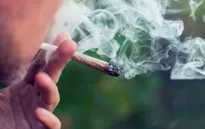 Khói cần sa gây hại cho phổi ở người hút