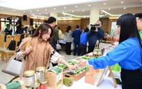 31 dự án dự VCK cuộc thi Dự án khởi nghiệp thanh niên nông thôn 2022