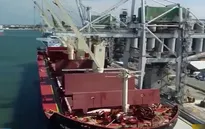 Nga thúc đẩy xuất khẩu ngũ cốc, phân bón