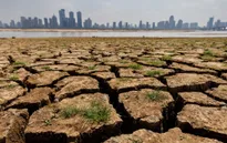 COP27: Ra mắt Liên minh quốc tế ứng phó với hạn hán
