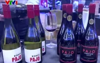 Rượu vang Chile thích ứng với biến đổi khí hậu