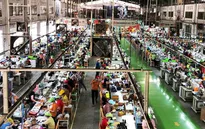 Một công ty chi hơn 1.500 tỷ đồng thưởng Tết cho người lao động