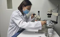 Khu công nghệ cao Hòa Lạc đẩy mạnh hoạt động sau dịch COVID-19