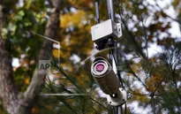 Camera thông minh giúp ngăn ngừa các vụ xả súng