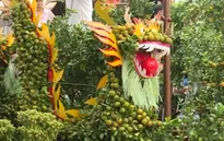 TP Hồ Chí Minh tổ chức chợ hoa Xuân