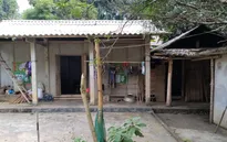 Một trái tim lỗi nhịp đã được chữa lành