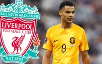 Cody Gakpo từ chối MU, bất ngờ gia nhập Liverpool