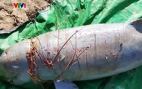 Cá heo nước ngọt sông Mekong có nguy cơ tuyệt chủng
