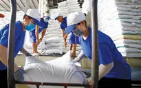 Tận dụng EVFTA mở rộng cơ hội xuất khẩu sang EU