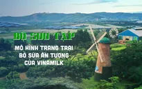 Bộ sưu tập các mô hình trang trại bò sữa ấn tượng của Vinamilk