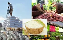 Giá trị toàn ngành nông nghiệp năm 2022 tăng cao
