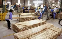 Ngành gỗ khó đạt mục tiêu xuất khẩu 16,5 tỷ USD