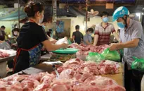 Vì sao giá lợn hơi xuống thấp?